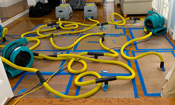 Professional Crawl Space Water Removal technician working in Magee, MS